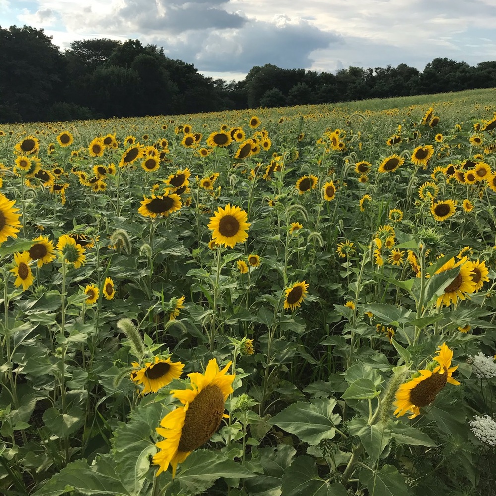 Meet your Posher, Kay